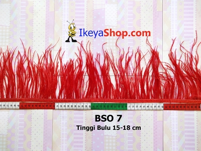 BSO 7  large2